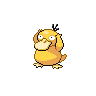 Sprite of psyduck